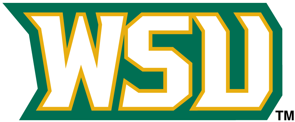 Wright State Raiders 2001-Pres Wordmark Logo v4 iron on transfers for fabric